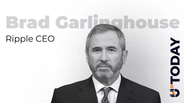 ripple-ceo-recalls-buffetts-legendary-crypto-dig