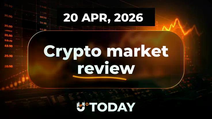 bullish-xrp-wave-has-ended-bitcoins-btc-goodbye-to-80000-shiba-inu-shib-exchange-netflows-cross-10