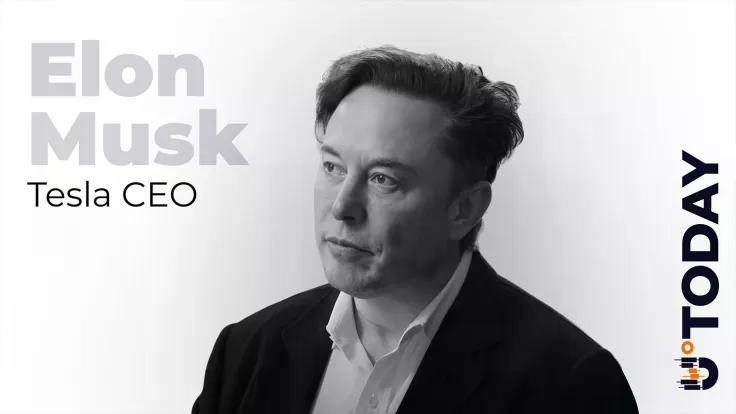 elon-musk-posts-bitcoin-anime-girl-btc-price-remains-in-green