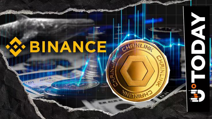 chainlink-activity-surges-8000-link-exit-binance-among-largest-daily-trades