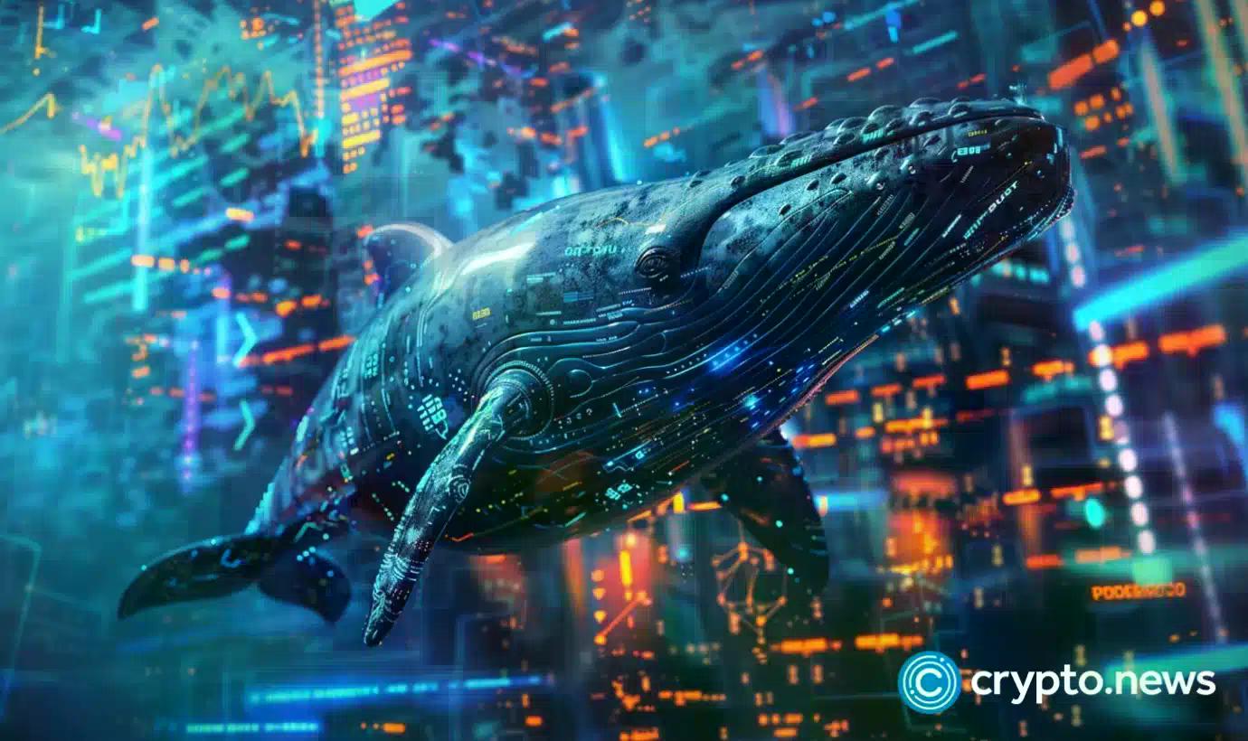 whale-accumulates-72k-hype-worth-30-6m