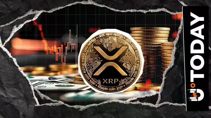 xrp-metrics-muted-in-quiet-holiday-trading-price-levels-to-watch-now