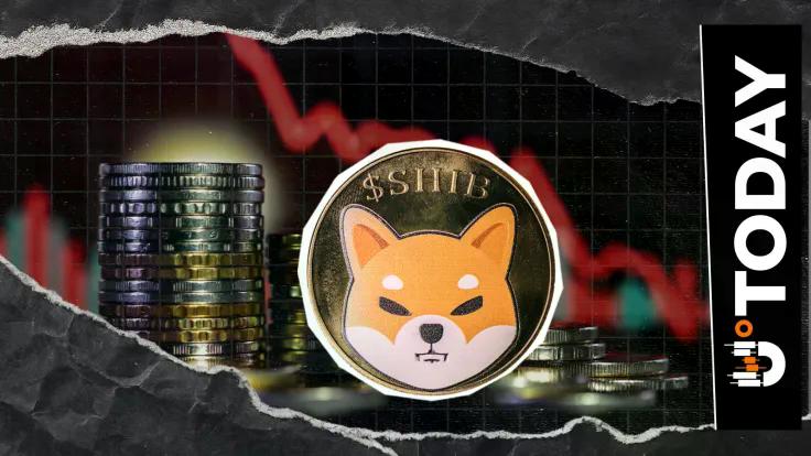 shib-futures-traders-derisking-metric-falls-694-with-price-in-red