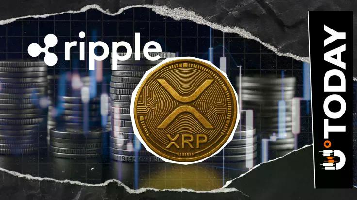 xrp-faces-quantum-era-ripple-research-head-decodes-googles-2029-migration-deadline