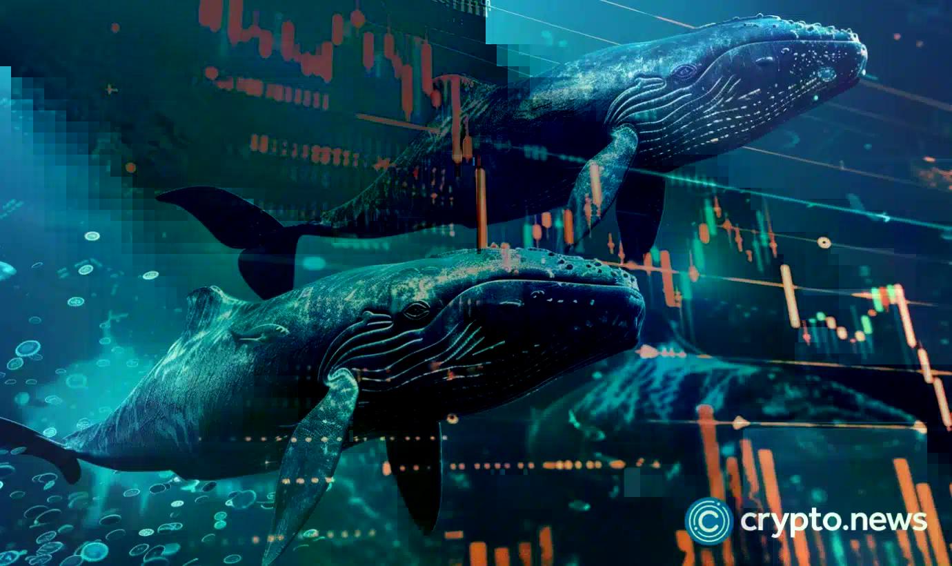 bitcoin-whales-move-40m-after-decade-long-dormancy