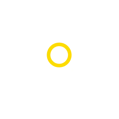 تیم خدمات حرفه ای-icon