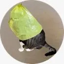 What is BAG?