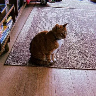 What is HOBBES