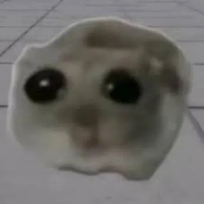 What is HAMMY