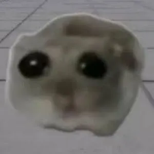 How to Buy HAMMY?