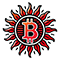 BITSUN