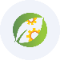 bncstock (BNCSTOCK)