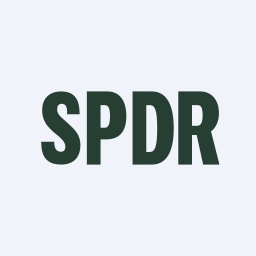spy